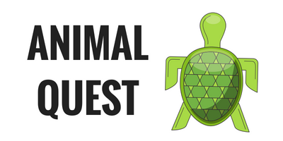 Animal Quest and Turtle