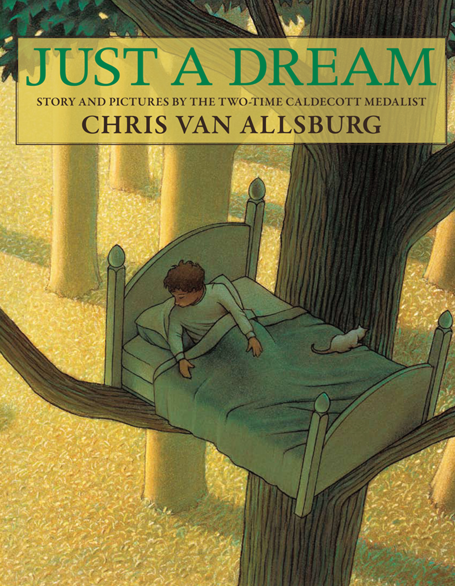 Just a Dream book cover