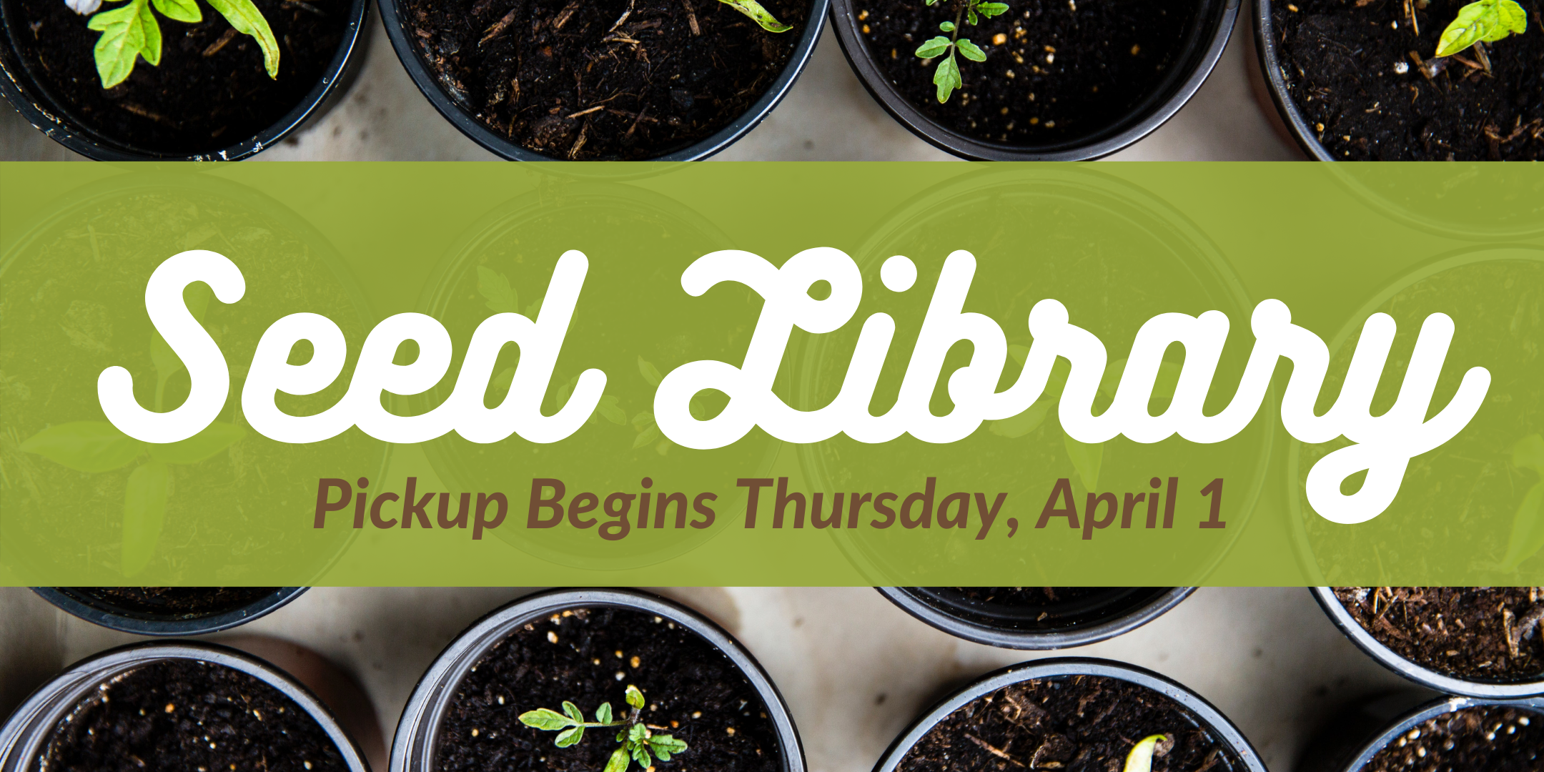 Seed Library: Pickup Begins April 1