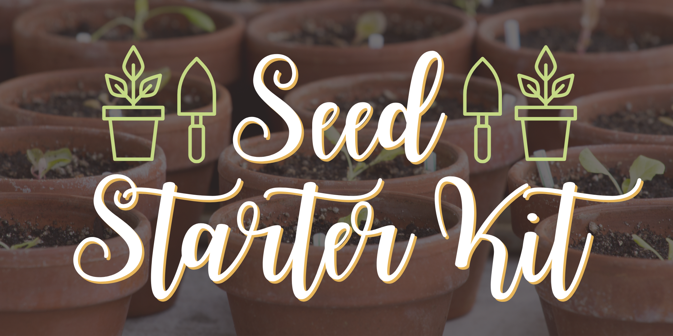 Seed Starter Kit image with seeds started in pots in the background