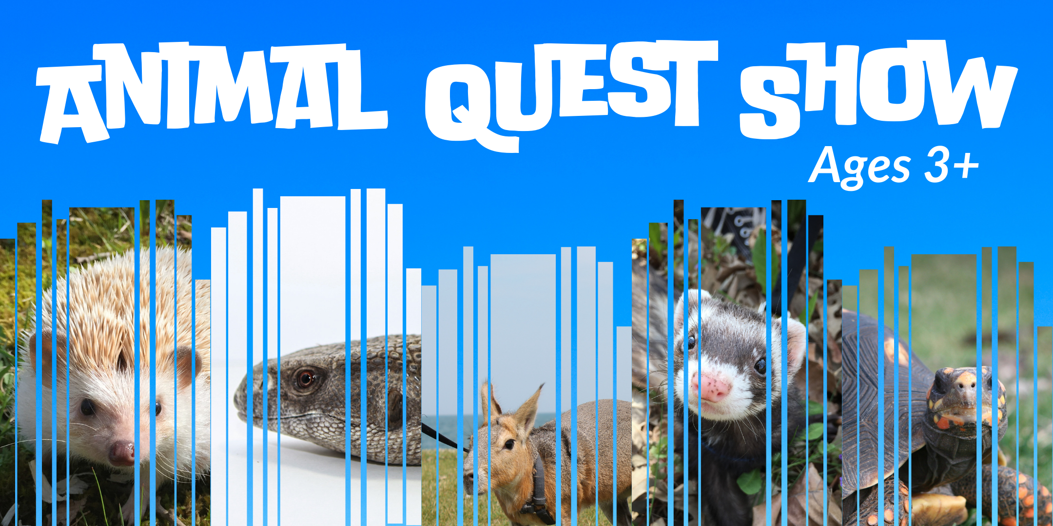 Image of "Animal Quest Show for Ages 3+"