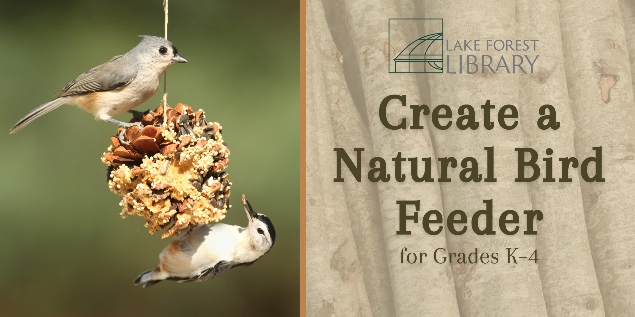 image of "Create a Natural Bird Feeder for Grades K–4"
