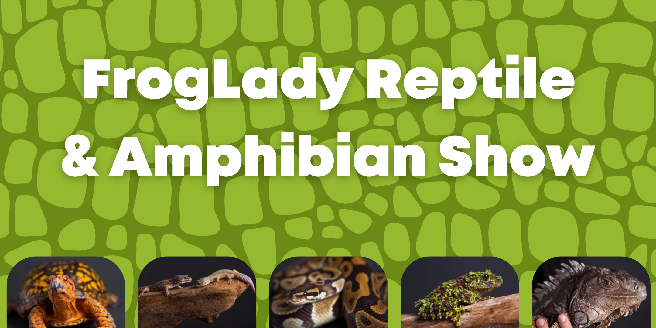 image of "FrogLady Reptile & Amphibian Show"