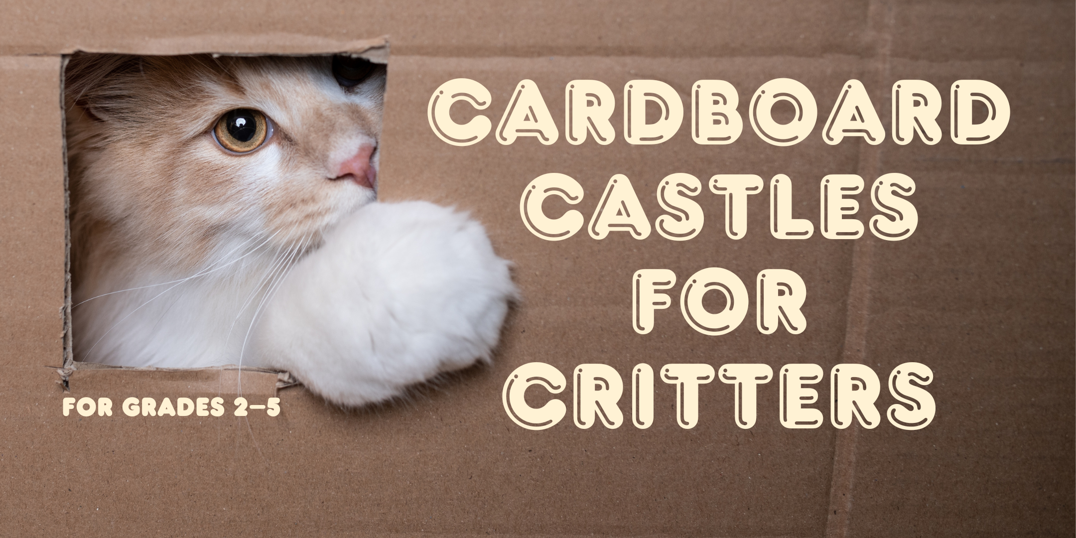 Cardboard Castles for Critters for Grades 2–5 in cream colored text over a photo of a cats head poling out of a hole in a cardboard box