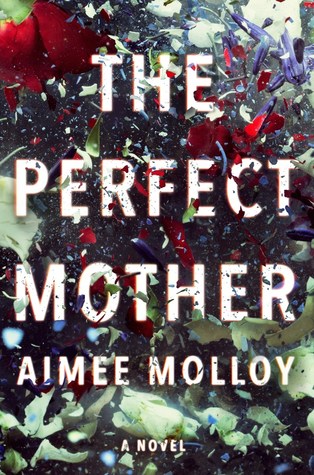 The Perfect Mother book cover