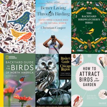Birdwatching blog image of six book covers