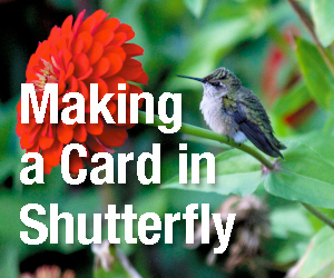 Making a Card in Shutterfly