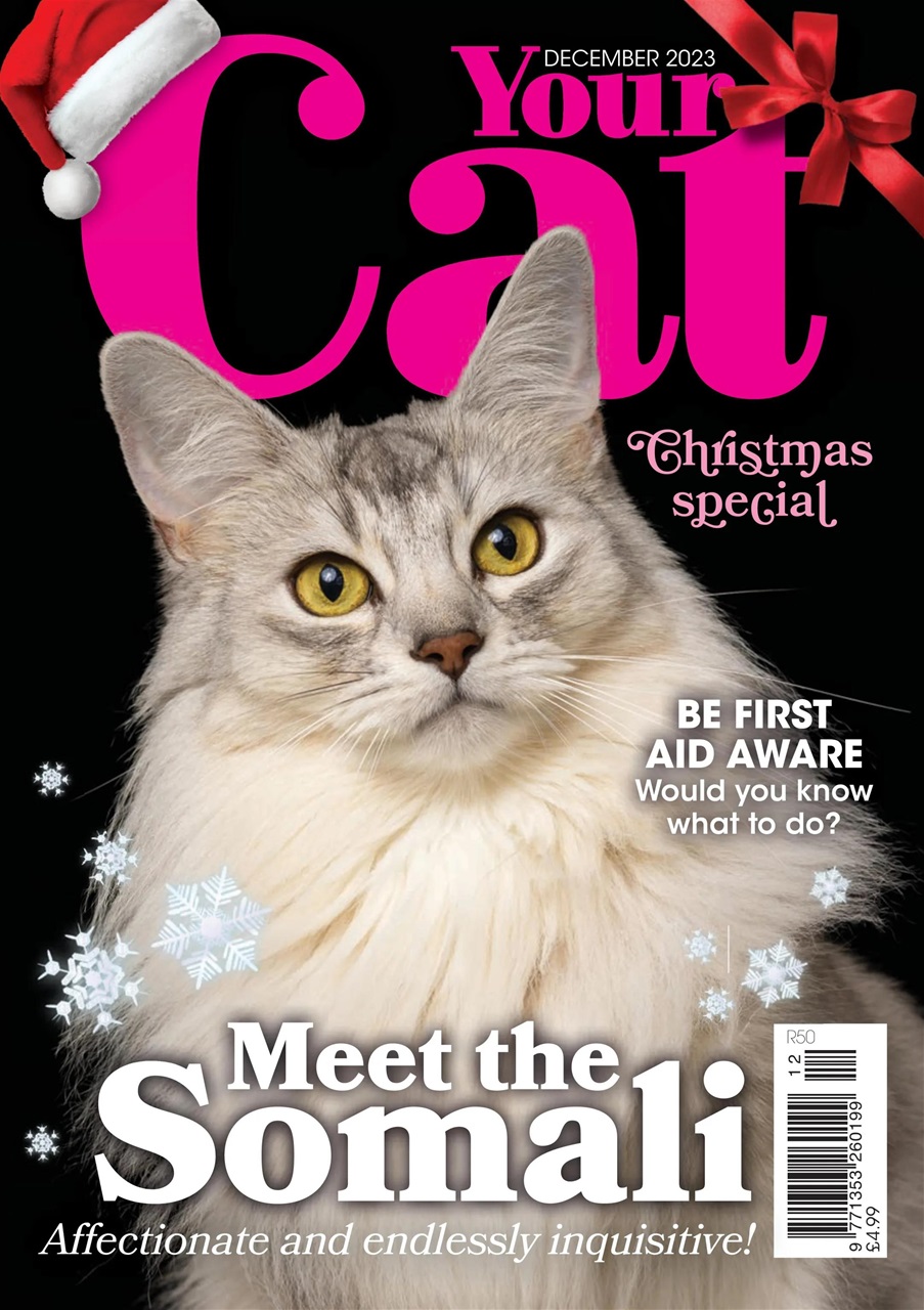 Image for "Your Cat Magazine"