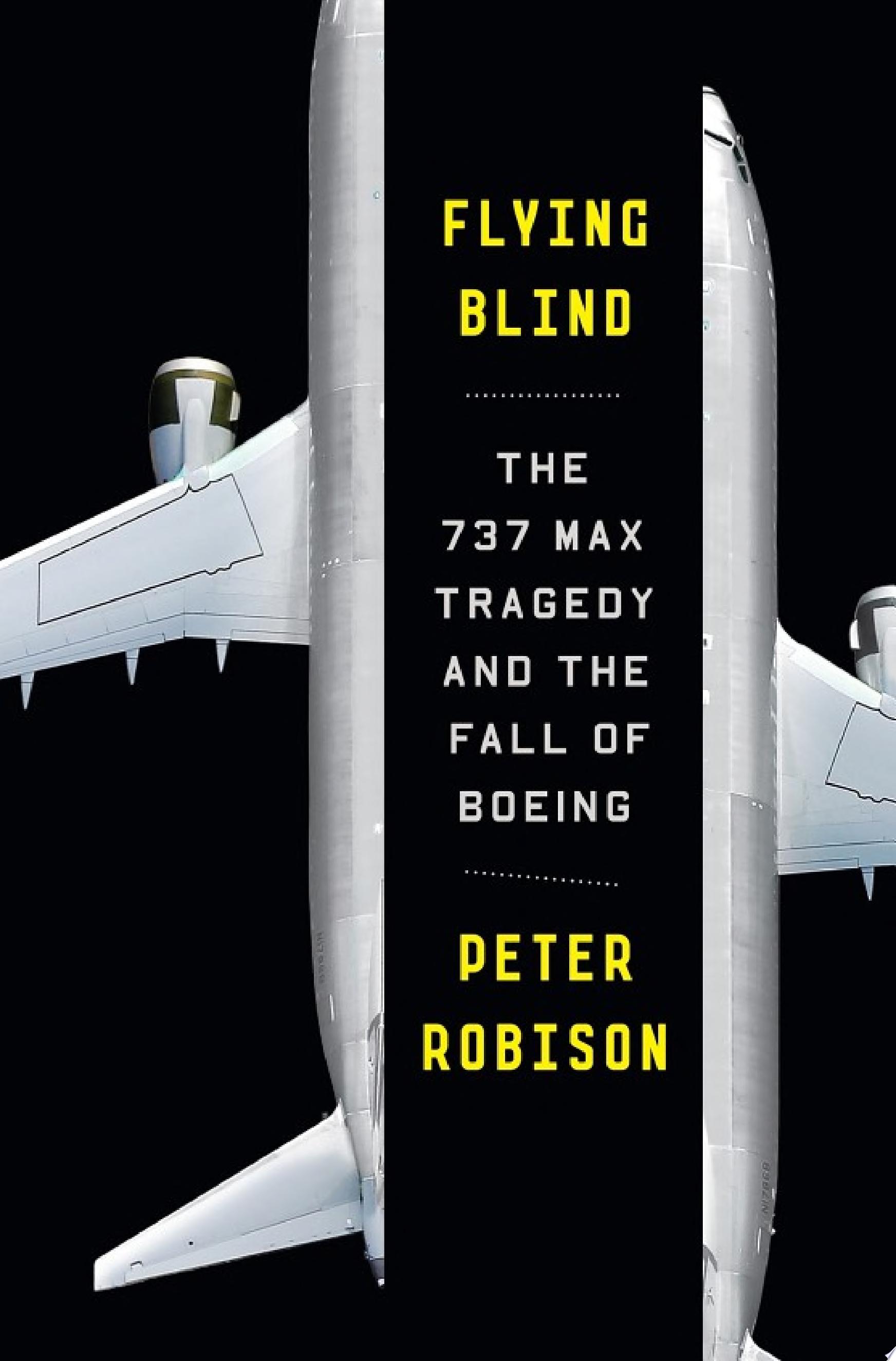 Image for "Flying Blind"