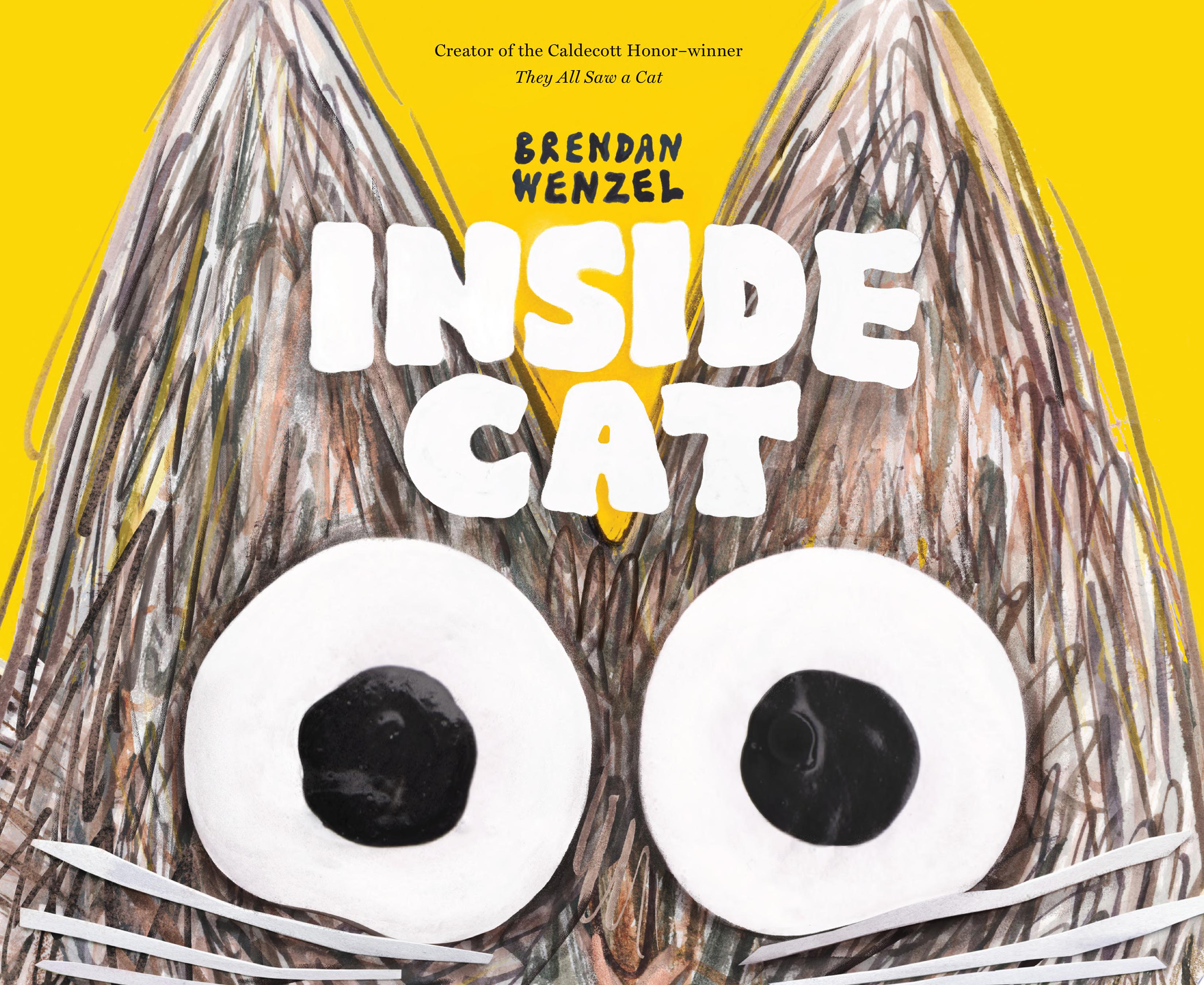 Image for "Inside Cat"