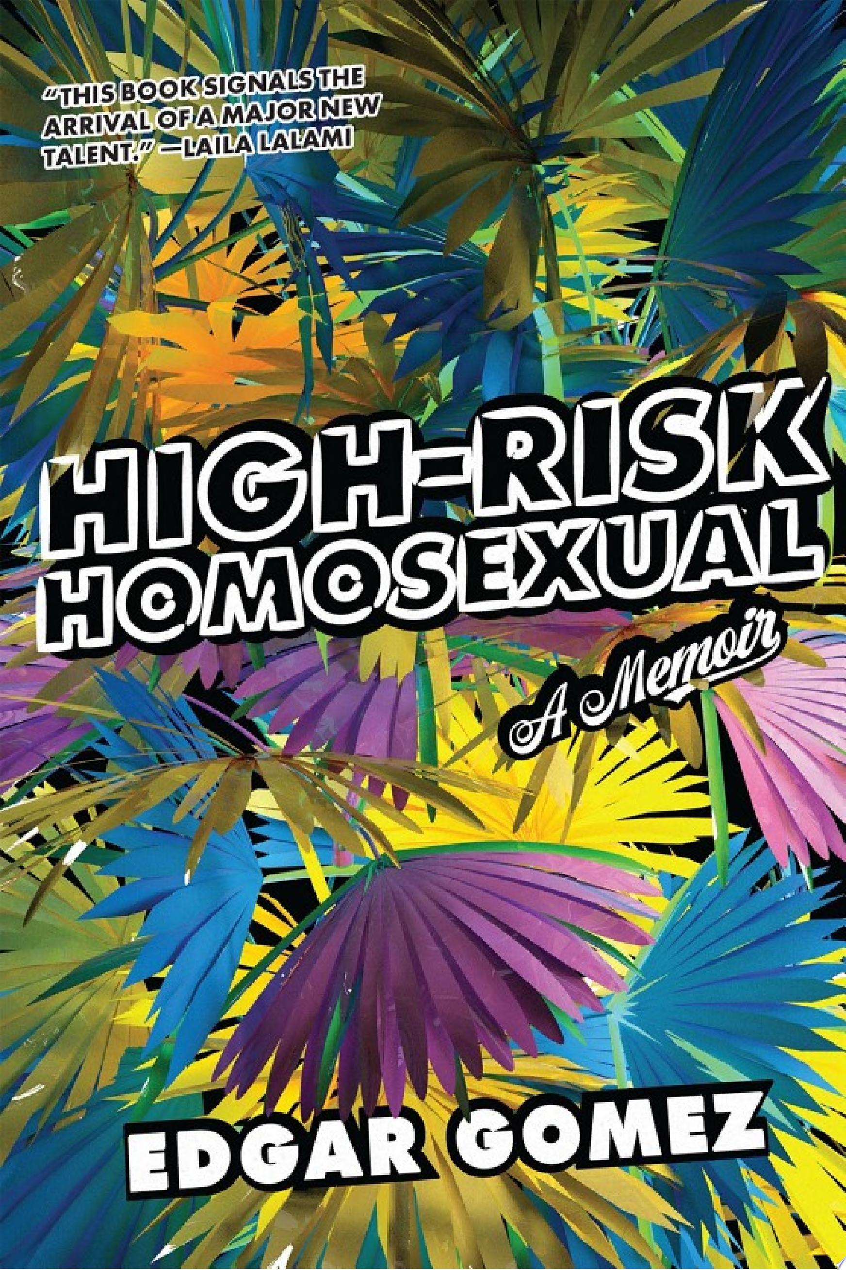 Image for "High-Risk Homosexual"