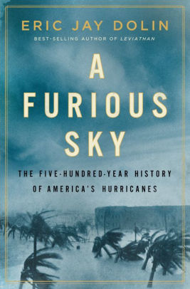 cover image of A Furious Sky