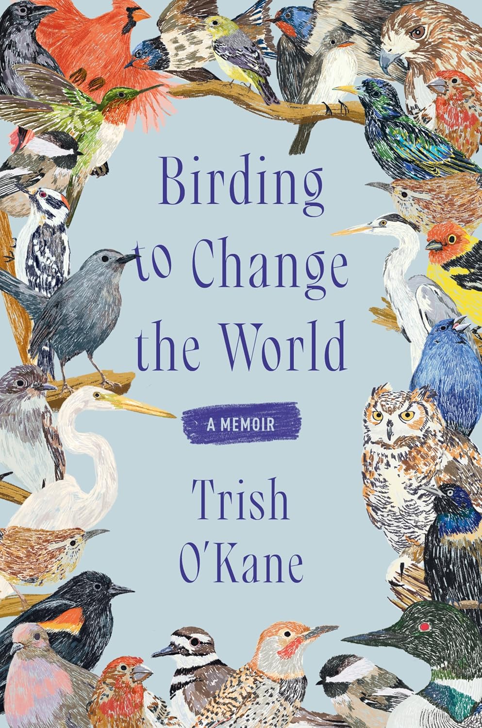 Image for "Birding to Change the World"