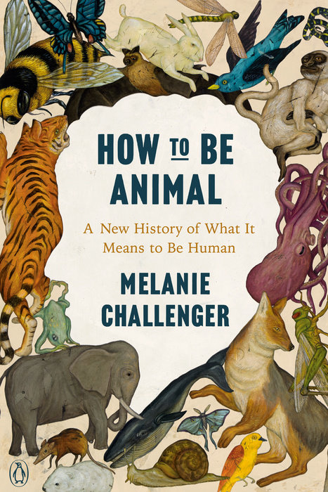 Image for "How to Be Animal"