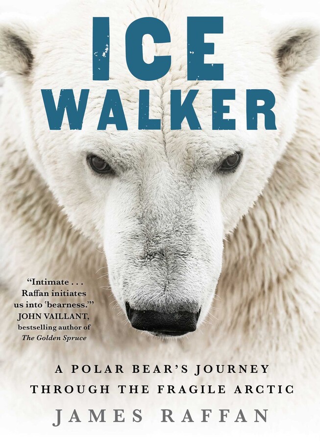 Image for "Ice Walker"
