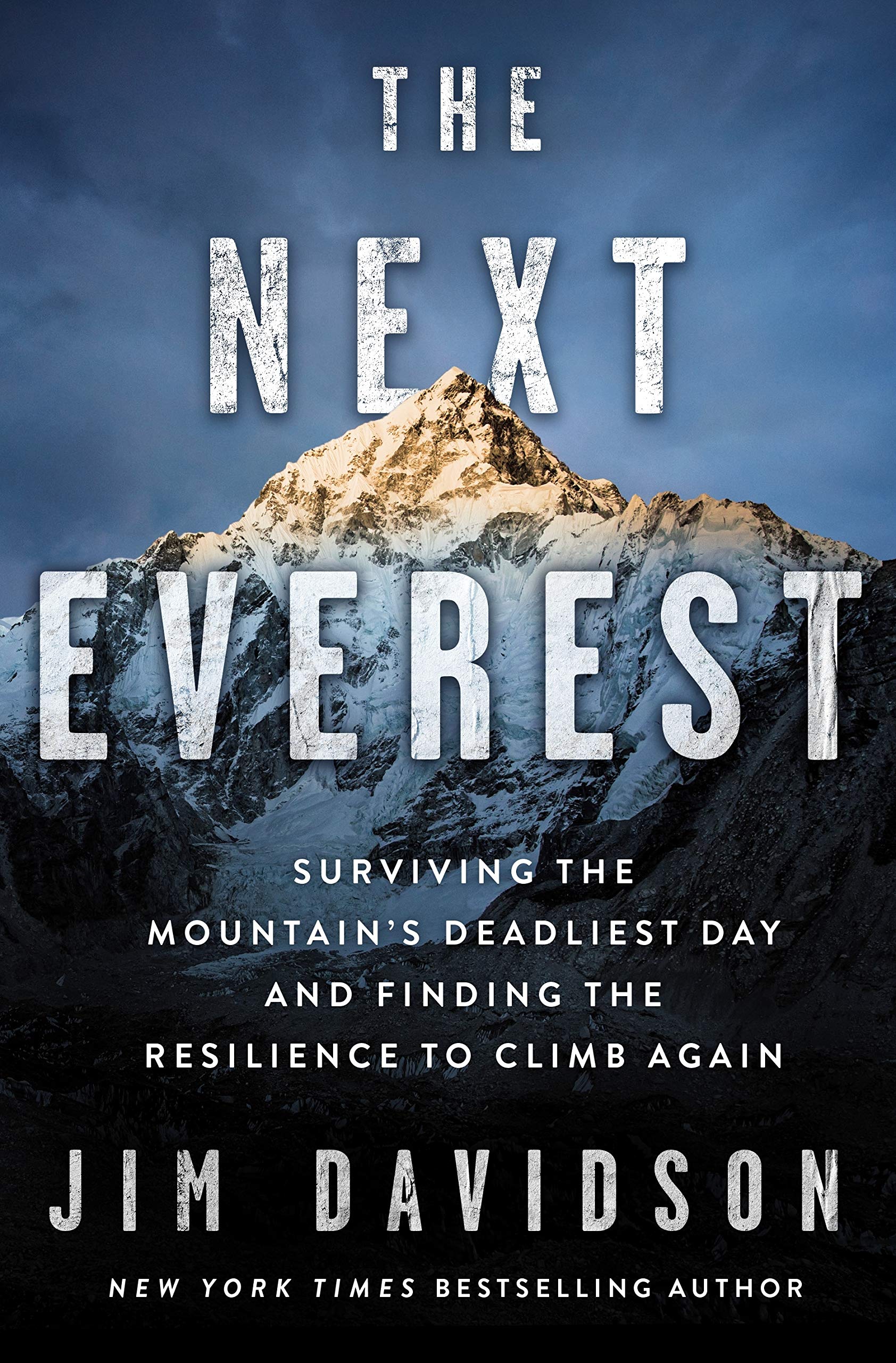 Image for "The Next Everest"