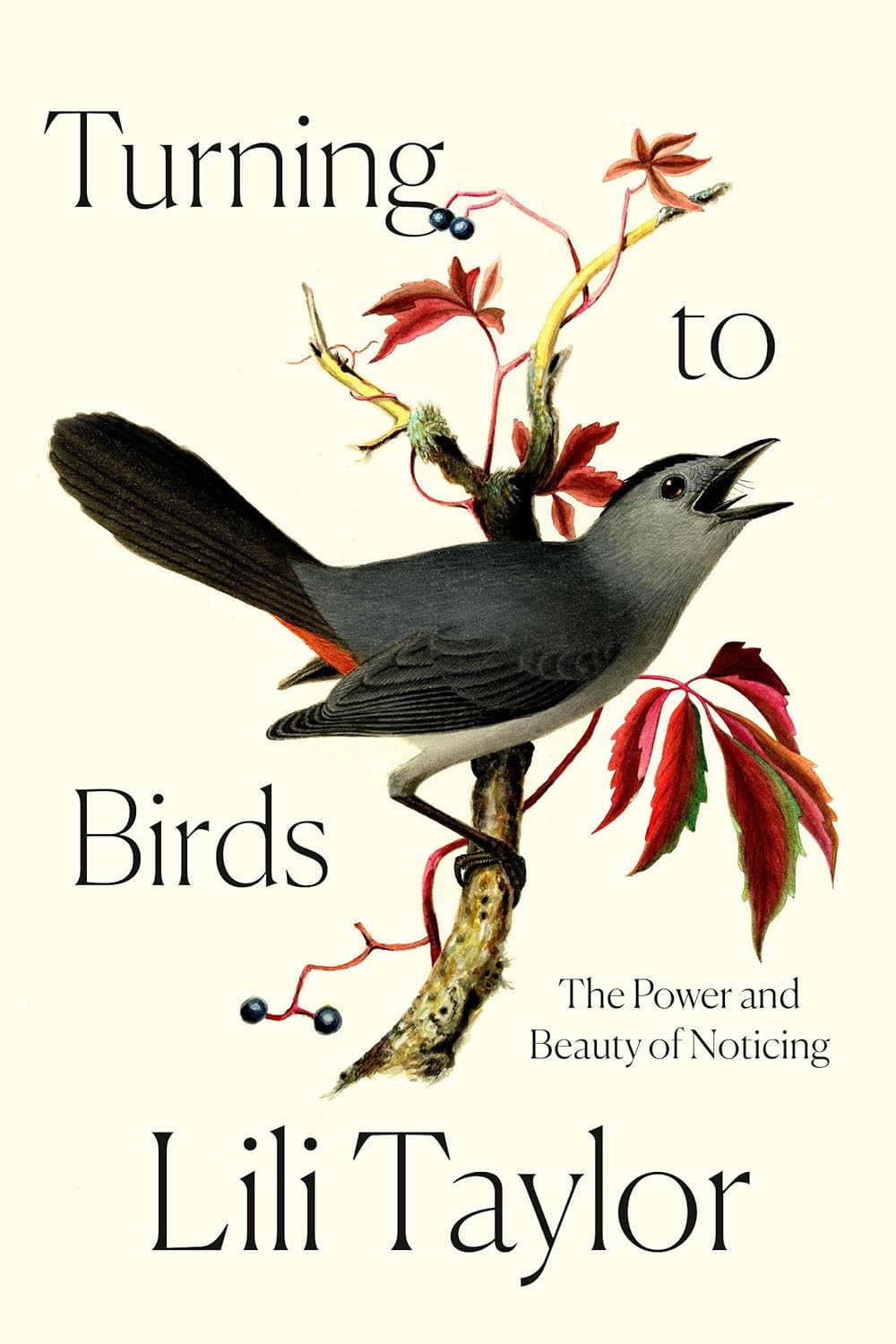 Image for "Turning to Birds"