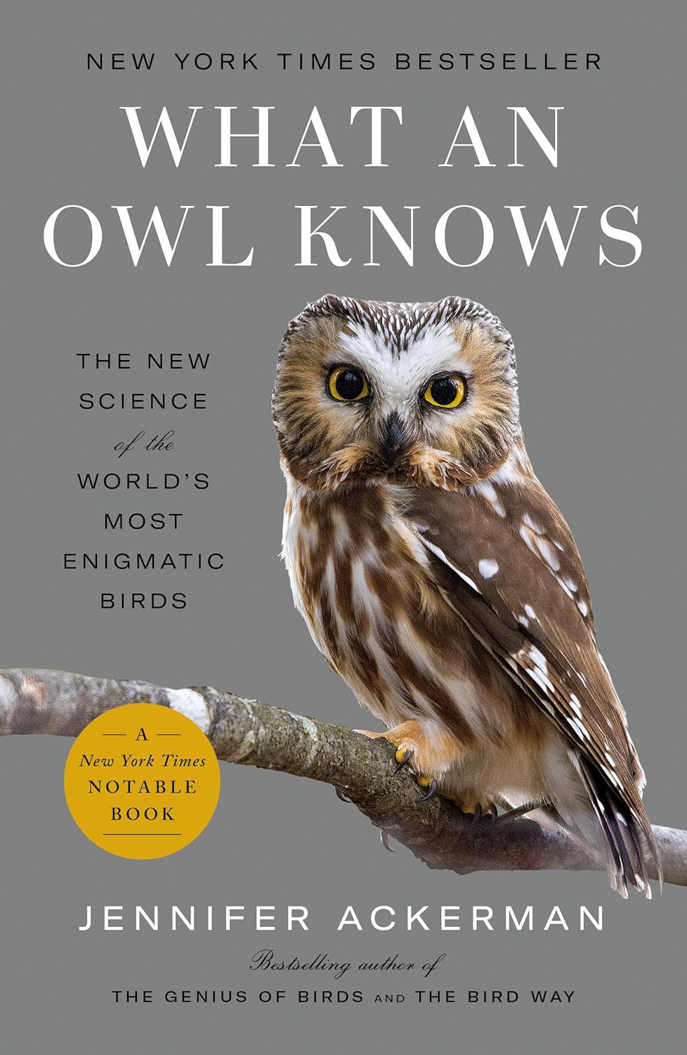 Image for "What an Owl Knows"