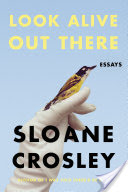 Cover image for Look Alive Out There