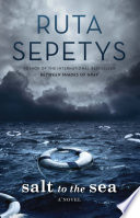 Cover image for Salt to the Sea