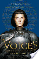 Cover image for Voices