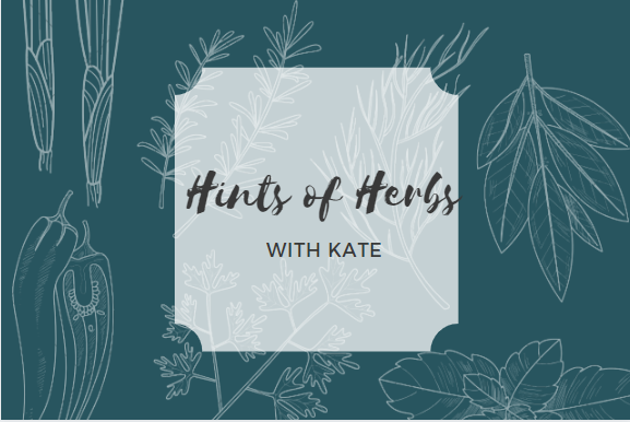 Hints of Herbs