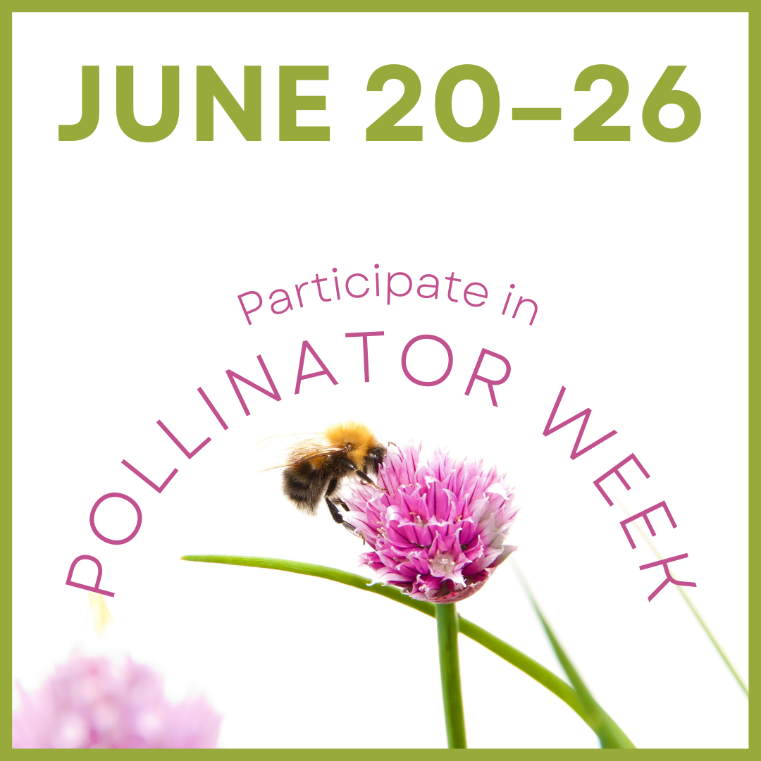 Image of Pollinator Week June 20–26 