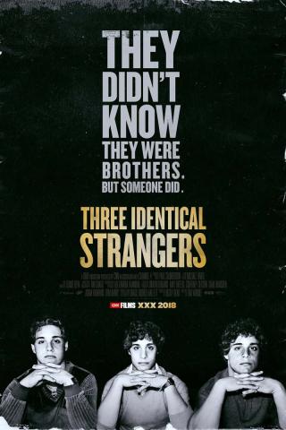 Three Identical Strangers movie poster