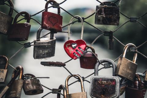 Photo of padlocks on a fence