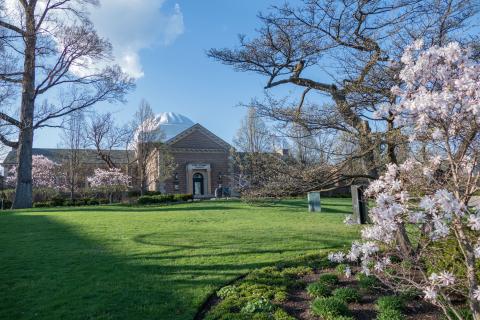 Lake Forest Library Lawn