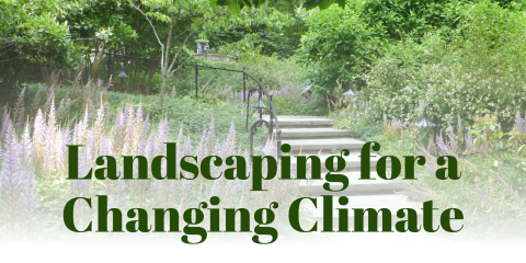 image of "Landscaping for a Changing Climate"