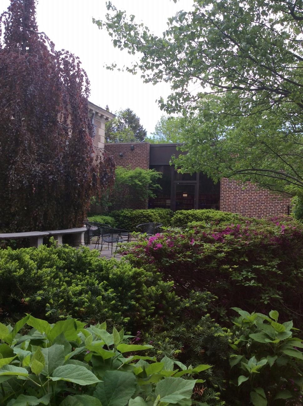 Library Courtyard