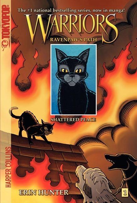 Warriors Ravenpaw's Path book cover