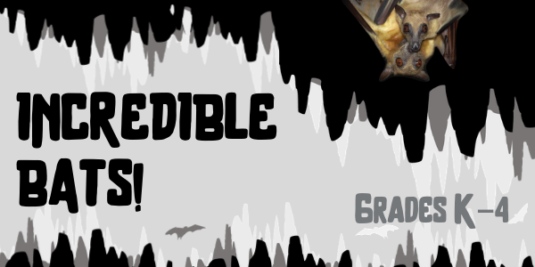 Incredible Bats! Grades K-4