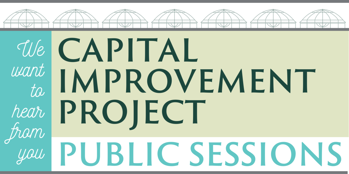 CIP Public Listening Session