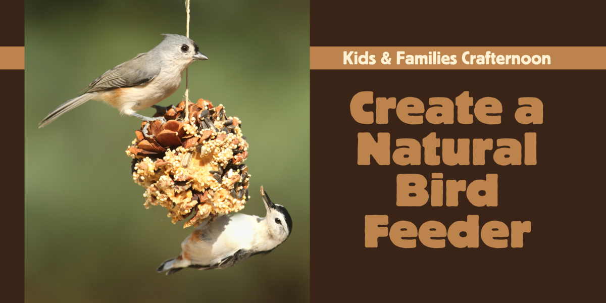 image of "Create a Natural Birdfeeder"