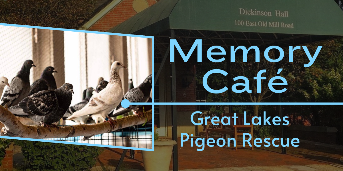 image of "Memory Café at Dickinson Hall: Pigeon Rescue"