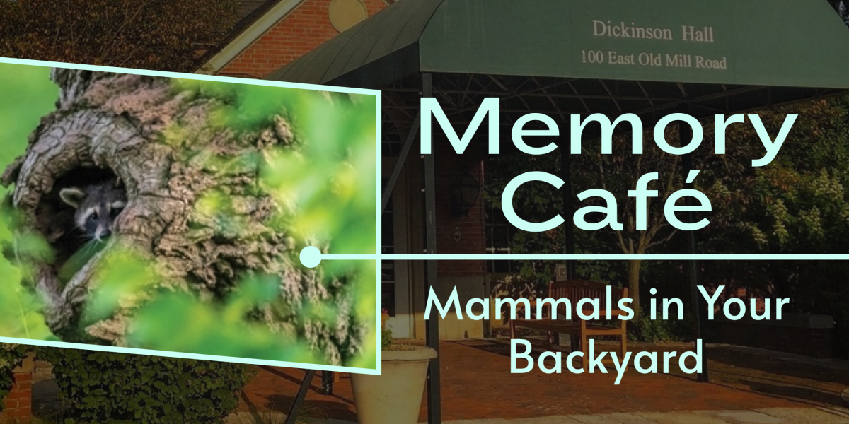 image of "Memory Café at Dickinson Hall"